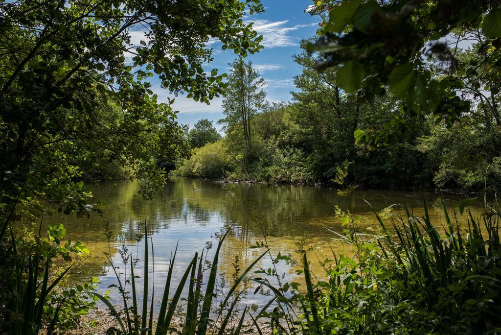 Norton Park Hotel, Spa & Manor House - Winchester Sutton Scotney Bagian luar foto